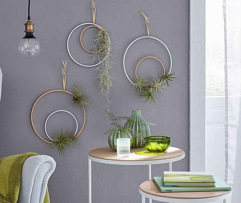 Wanddeko mit Pflanzen aus Metallringen an der Wand, dekorative Hängeelemente mit kleinen Grünpflanzen als moderne DIY-Wandgestaltung im Wohnbereich