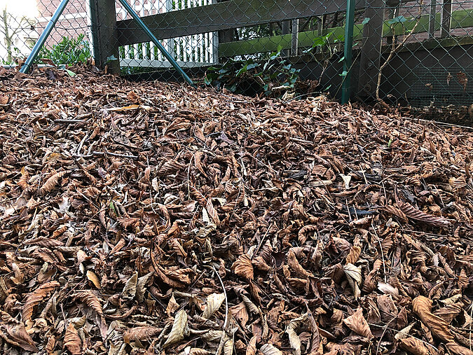 Ein Laubhaufen bietet Igeln im naturnahen Garten Schutz und einen geeigneten Platz zum Überwintern.
