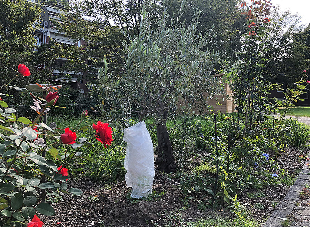 Winterschutz für empfindliche Pflanzen gehört zum naturnahen Garten und schützt sie vor Frost und Kälte.