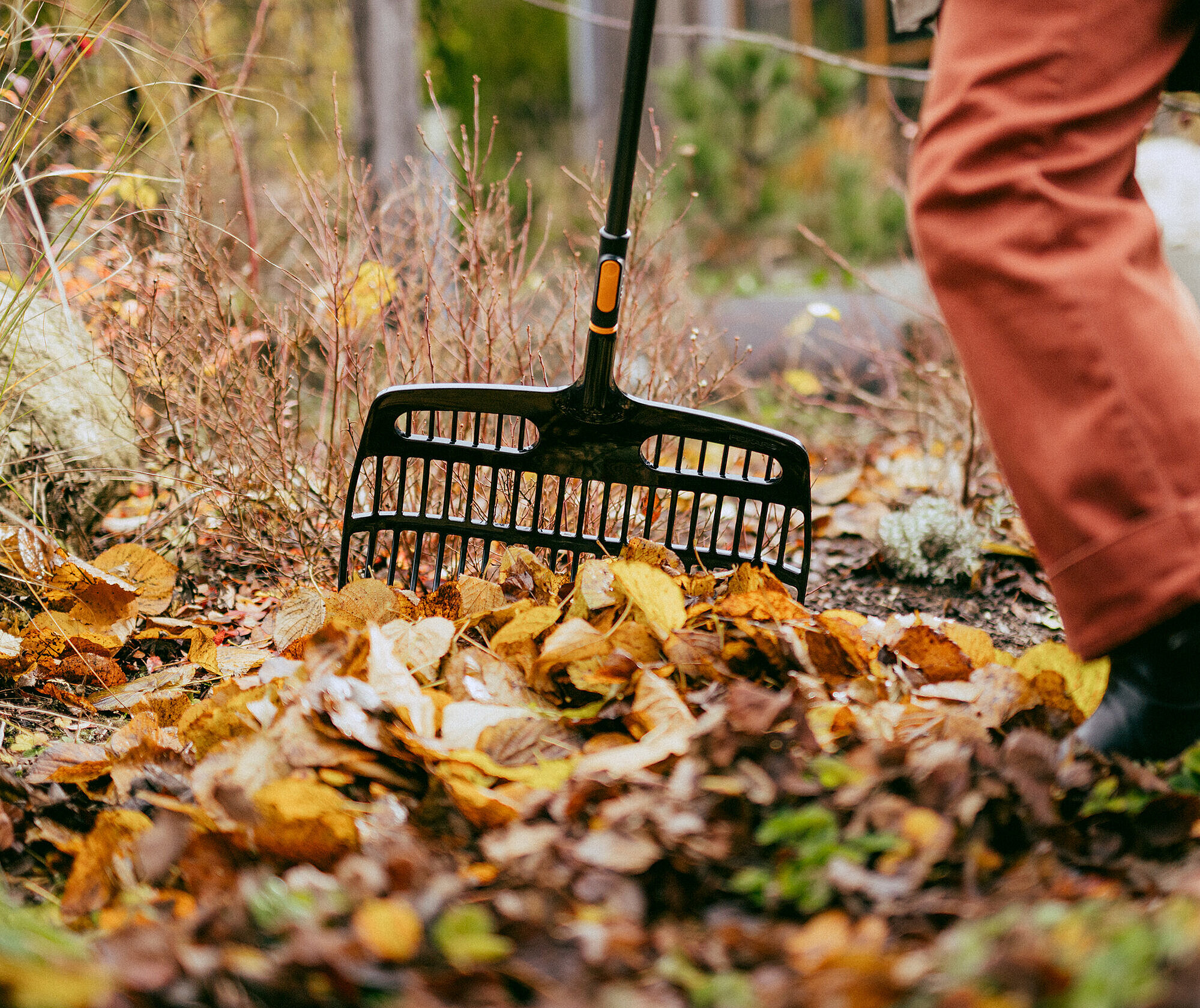 Naturnaher Garten im Herbst: So schützt du Tiere