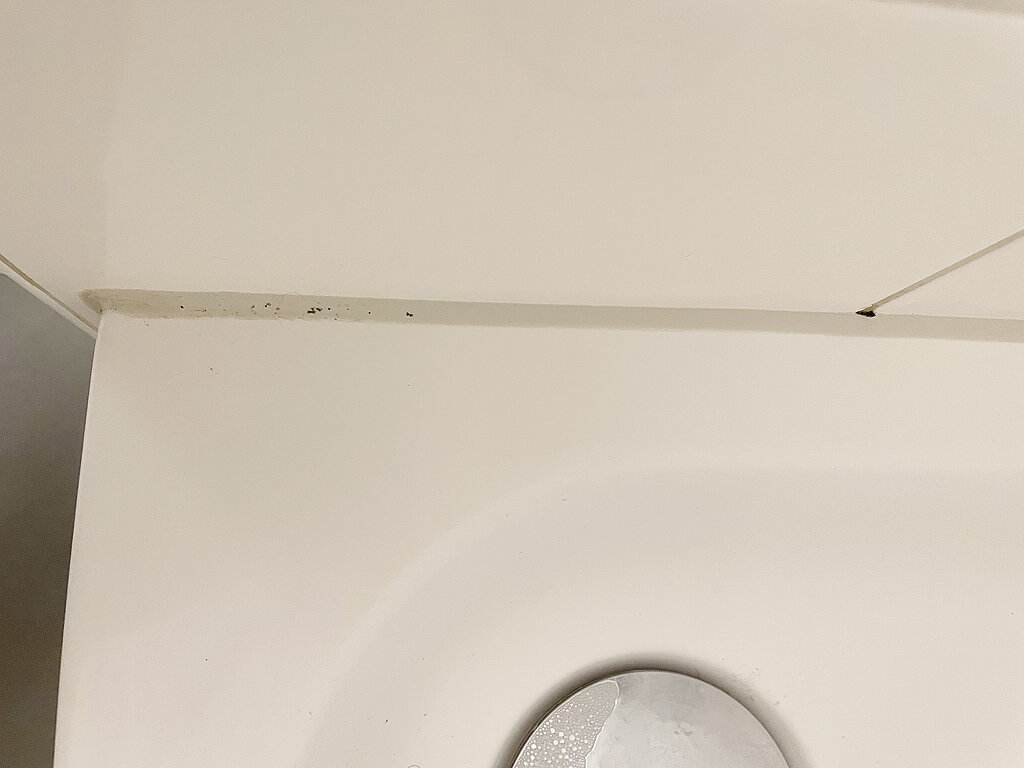 Schimmelige Silikonfugen erneuern_schwarze Flecken im auf der Silikonfuge im Bad