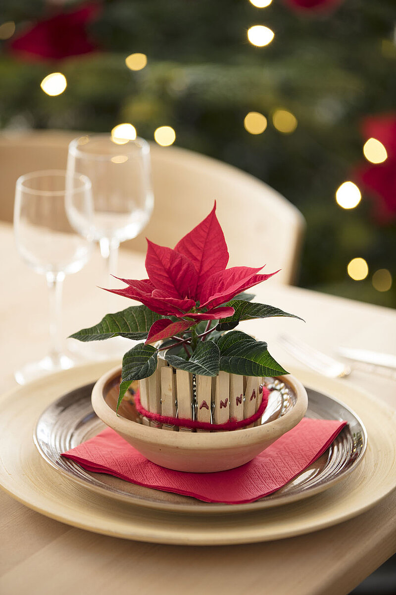 Tischkarten mit Mini-Weihnachtsstern