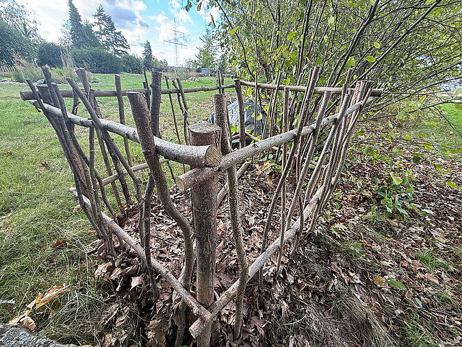 Totholz und Äste bilden im naturnahen Garten einen natürlichen Rückzugsort für Tiere und Insekten.
