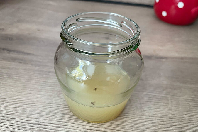 DIY-Essigfalle: Einfache Fruchtfliegenfalle aus einem Glas mit Essiglösung, aufgestellt auf einer Küchenarbeitsplatte zur natürlichen Insektenbekämpfung