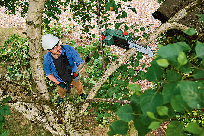 Eine Person sägt Äste im Baum zurück, die anschließend zu Brennholz verarbeitet werden können.