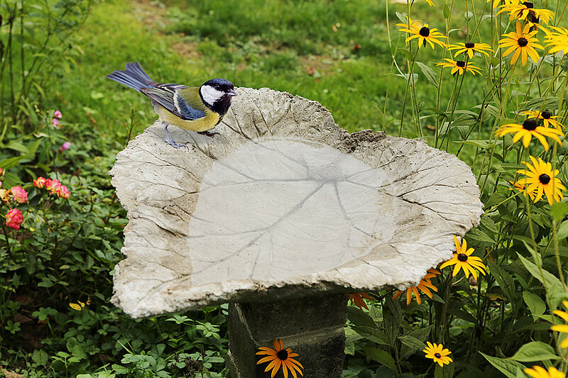 Vogeltränke aus Beton bauen
