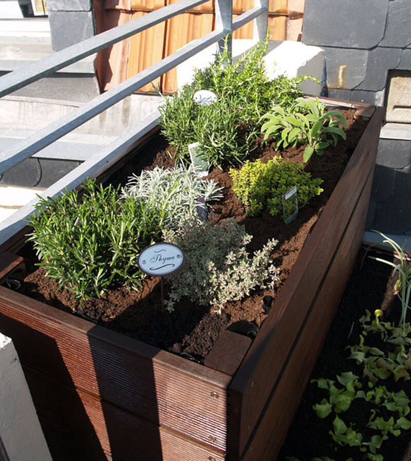 Dekorativer Blumenkasten aus Holz 